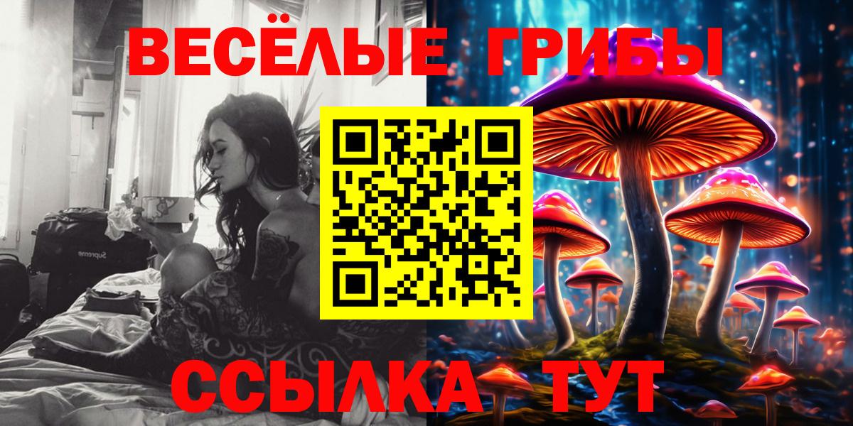 Псилоцибиновые грибы Cubensis Великий Устюг