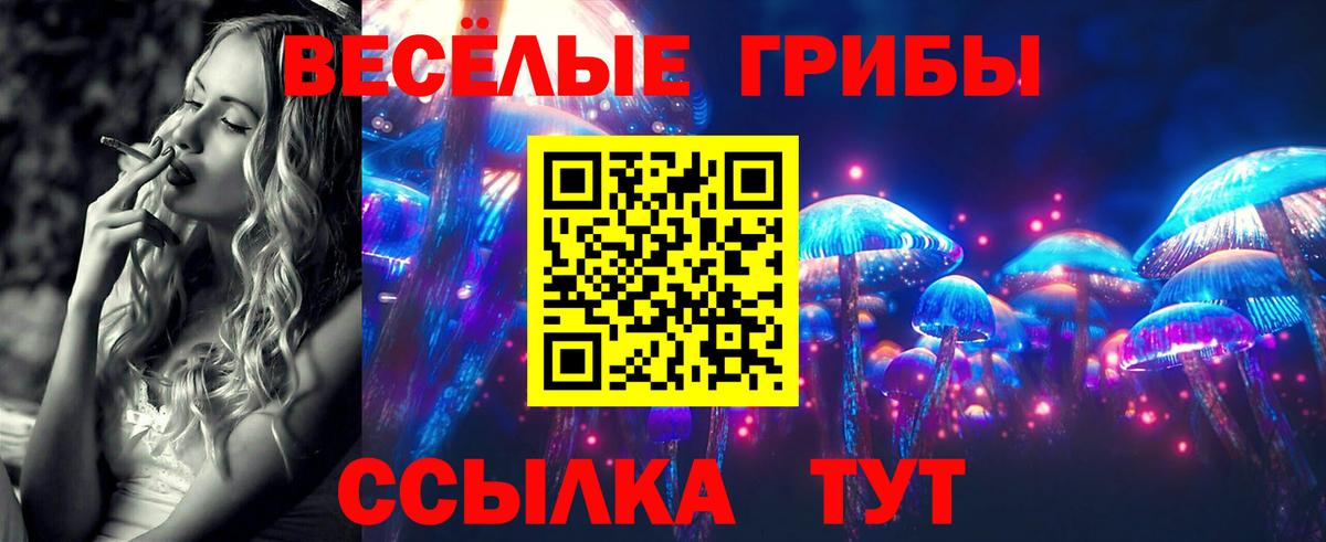 Великий Устюг  Псилоцибиновые грибы GOLDEN TEACHER  Вход с VPN 